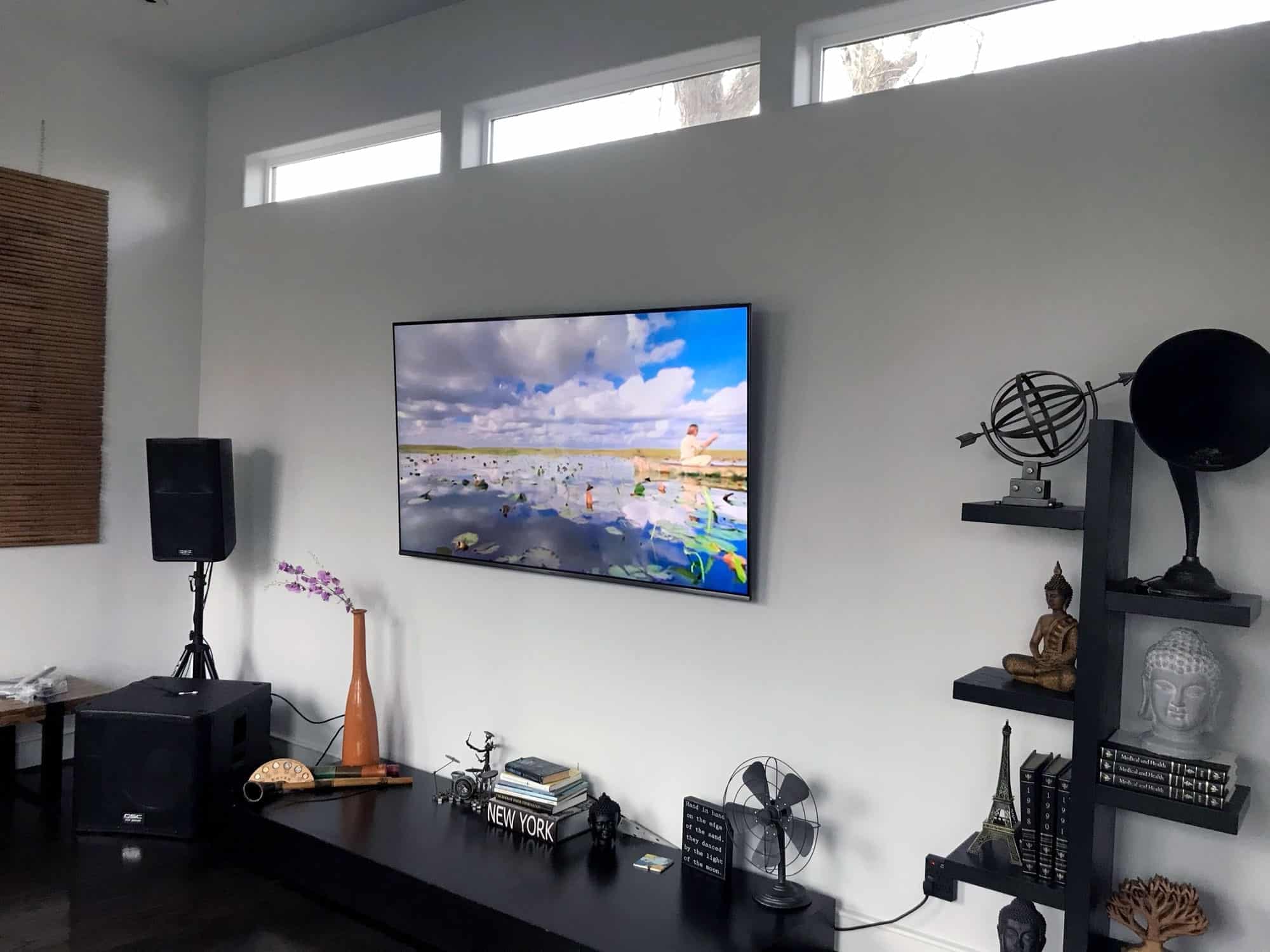Large TV mounted between decorative shelves displaying a nature documentary in a modern living room